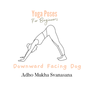 Yoga for Beginners - downward facing dog